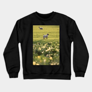 Where is mother? Crewneck Sweatshirt